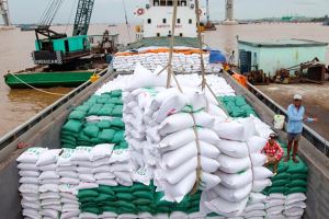 Vietnam forecast to maintain world’s second largest rice exporter