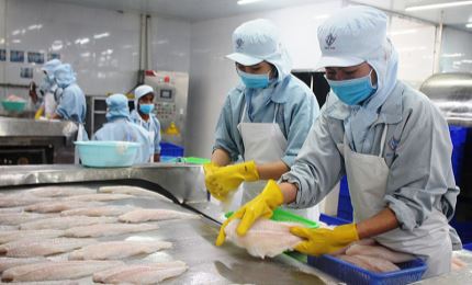 Seafood exports expected to hit over 2 billion USD from in second quarter