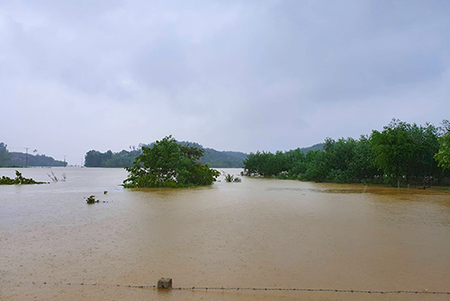 Flood in central Vietnam (Source: vietnamnet.vn)