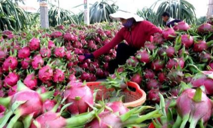 Chinese locality to increase imports of Vietnamese agricultural products