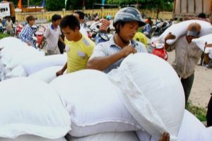 Additional 6,500 tonnes of rice allocated to central provinces