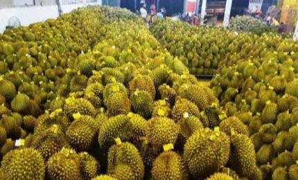 Durian, grapefruit, and passion fruit to be exported to China