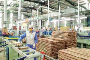 Wood industry pledges to develop toward sustainability