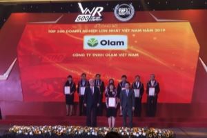 Vietnam's 500 largest enterprises in 2020 announced