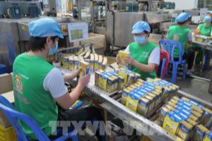 Binh Duong exceeds target of annual FDI attraction