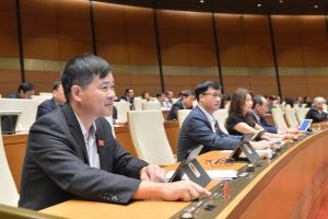 Lawmakers approved resolution on HCM City’s urban administration