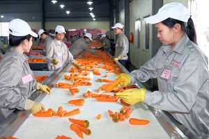 Exports of processed fruit and vegetables expected to rise 14-17% in 2020