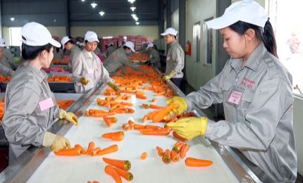 Exports of processed fruit and vegetables expected to rise 14-17% in 2020
