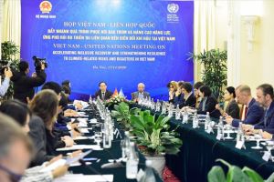 Climate change in Vietnam discussed during Vietnam-UN meeting