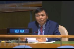 Vietnamese Ambassador emphasized countries’ role and contribution in maintaining international peace and security