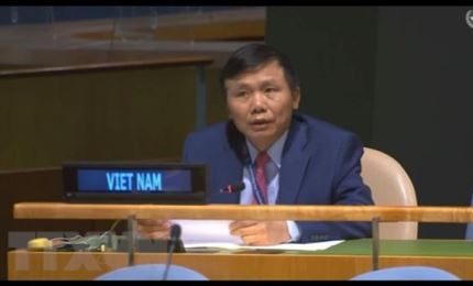 Vietnamese Ambassador emphasized countries’ role and contribution in maintaining international peace and security