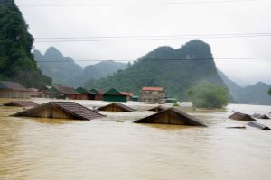 EU, FAO grant emergency aid of nearly USD900,000 to Central Vietnam