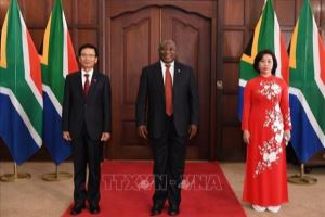Vietnam and South Africa promote stronger partnership