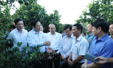 Dak Lak should protect environment with solar energy development: Party official