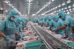 Tra fish export value expected to hit 1.5 billion USD