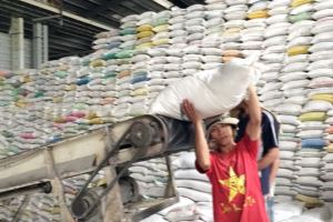 Vietnam exports 5.7 million tons of rice in 11 months