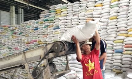 Vietnam exports 5.7 million tons of rice in 11 months