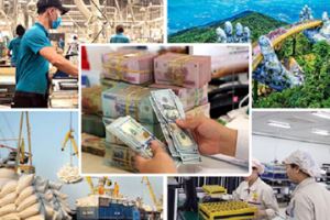 Nikkei Asia hails Vietnam as sole economic winner in Southeast Asia