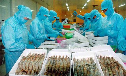 India is major supplier of raw seafood material for Vietnam