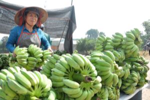 Hanoi accelerates socio-economic development in year-end months