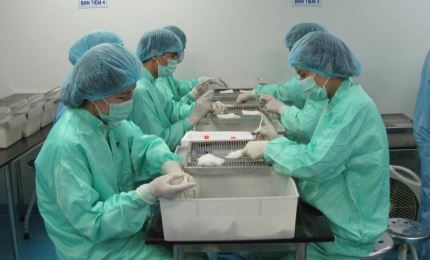 Vietnam begins COVID-19 vaccine trials on monkeys