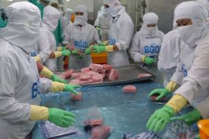 Vietnam’s tuna exports recover
