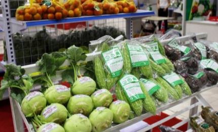 Fruit and vegetable exports down