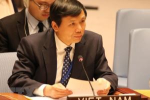 Vietnam summarises performance of ASEAN Committee in 2020 in New York