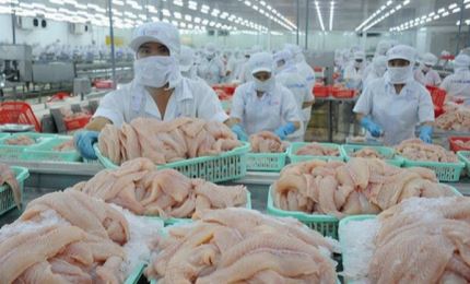 US accounts over 26% of Vietnam’s agro-forestry-fishery products