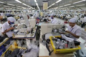 Garment export expected to hit 55 billion USD by 2025