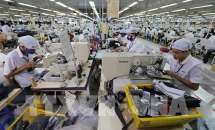 Garment export expected to hit 55 billion USD by 2025
