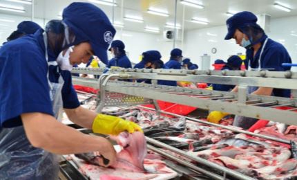 Vietnam expects to earn 1.5 billion USD from tra fish export
