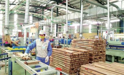 Wood sector continues to achieve high export value