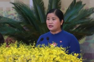 Binh Phuoc calls for RoK to invest in high-tech parks