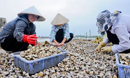 Vietnam’s first clam fishery receives ASC certification