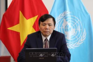 Vietnam commits to make more contribution to UNMISS