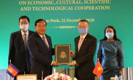 84% of Vietnam-Cambodia mainland border demarcated and planted