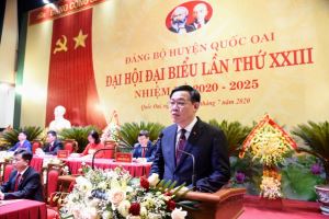 Hanoi district urged to boost economic development and prevent COVID-19