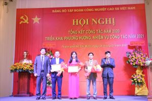 Vietnam Rubber Group pays attention to develop party among workers