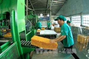 Vietnam exports 1.75 million tons of rubber in 2020