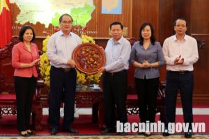 Head of Ho Chi Minh City Delegation of NA Deputies visits Bac Ninh province