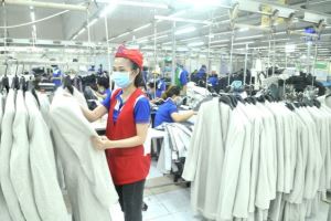 Vietnam - EU cooperation flourish