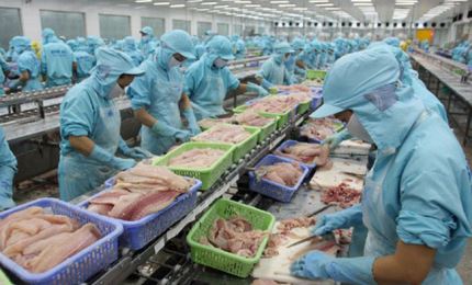 Country expects to export 9.4 million tons of seafood in 2021