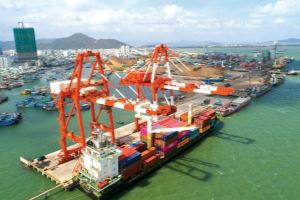 Volume of goods via Quy Nhon Port reaches 11 million tons in 2020
