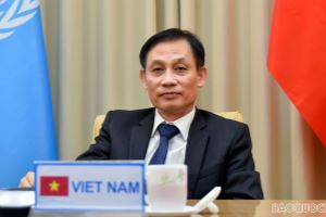 Vietnam gains breakthrough diplomatic success as UNSC, said Deputy Minister of Foreign Affairs