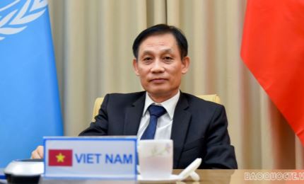 Vietnam gains breakthrough diplomatic success as UNSC, said Deputy Minister of Foreign Affairs