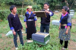 Yen Bai province provides vocational training to nearly 117,000 labourers
