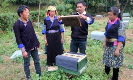 Yen Bai province provides vocational training to nearly 117,000 labourers