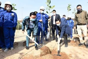 Hanoi sets to plant more than 300,000 trees