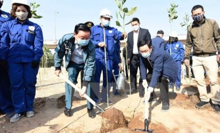 Hanoi sets to plant more than 300,000 trees